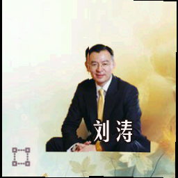 刘涛